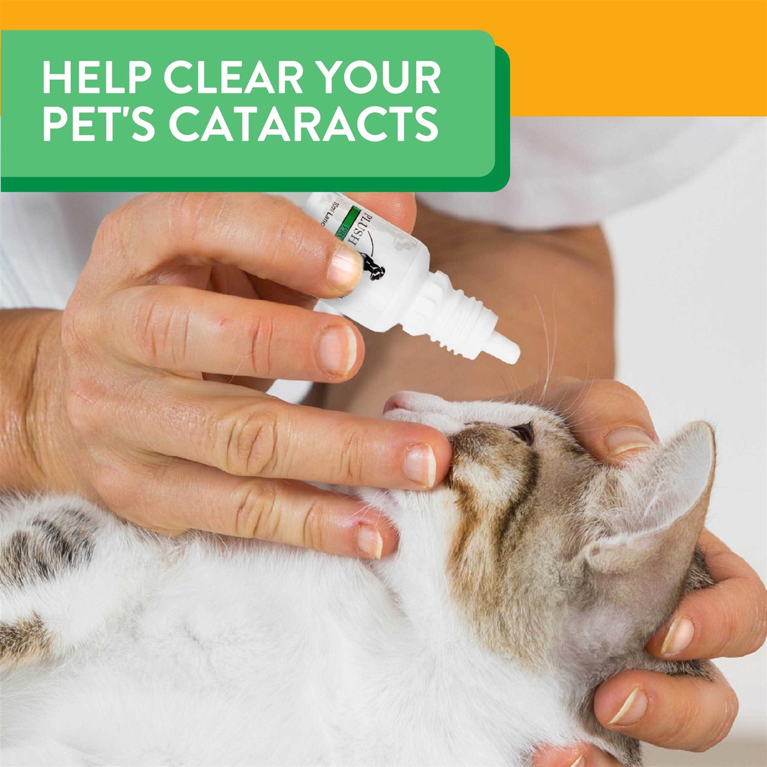 Alternative view of Plush Paws Advanced Lanosterol Solution + NAC