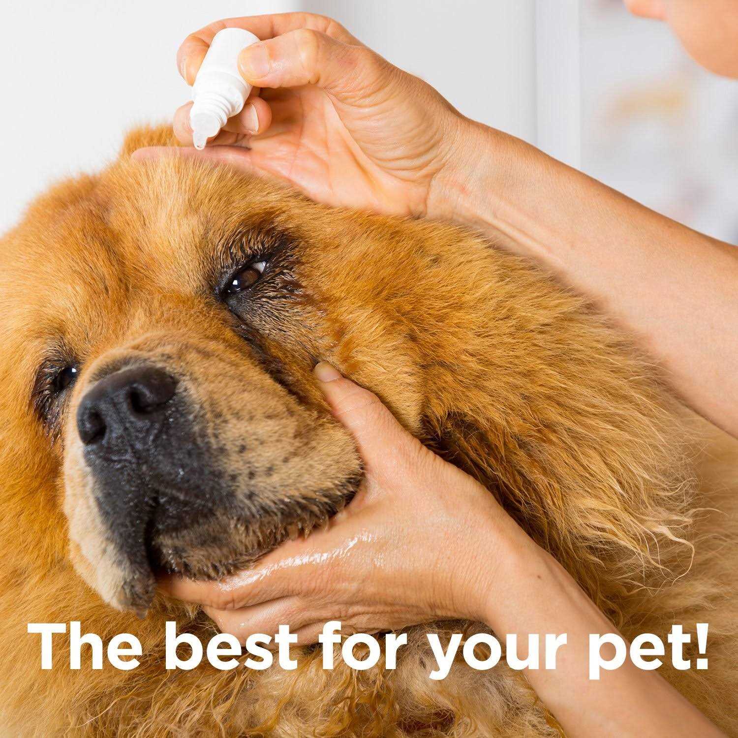 Alternative view of Ocluvet Eye Drops for Pets with Cataracts
