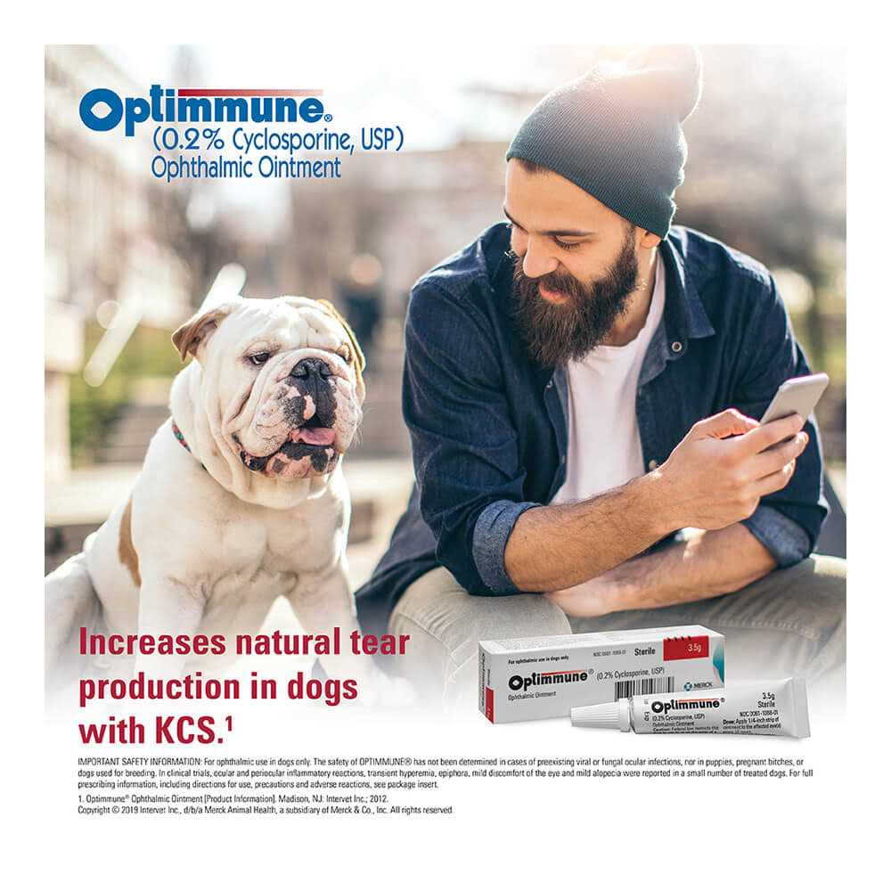 Alternative view of Optimmune Ophthalmic Ointment