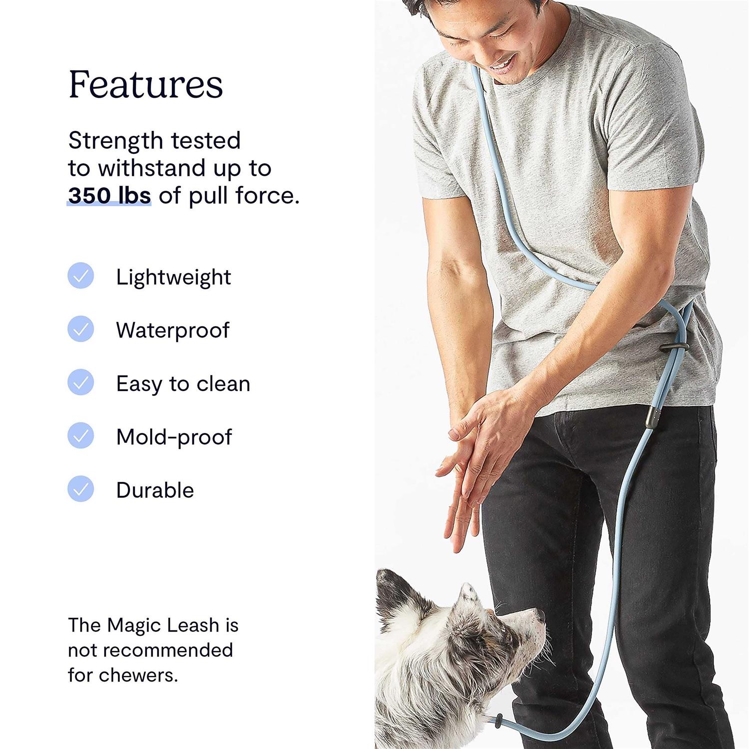 Alternative view of Fable Pets Magic Link Hands-Free Dog Leash