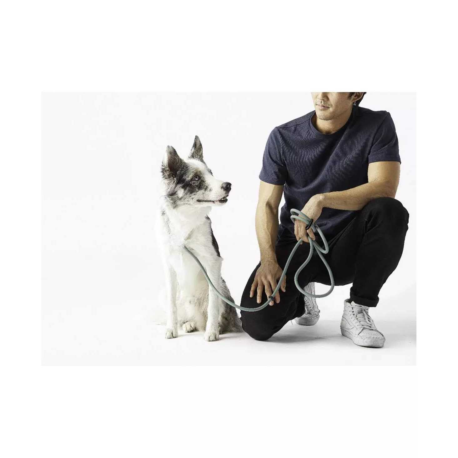 Alternative view of Fable Pets Magic Link Hands-Free Dog Leash
