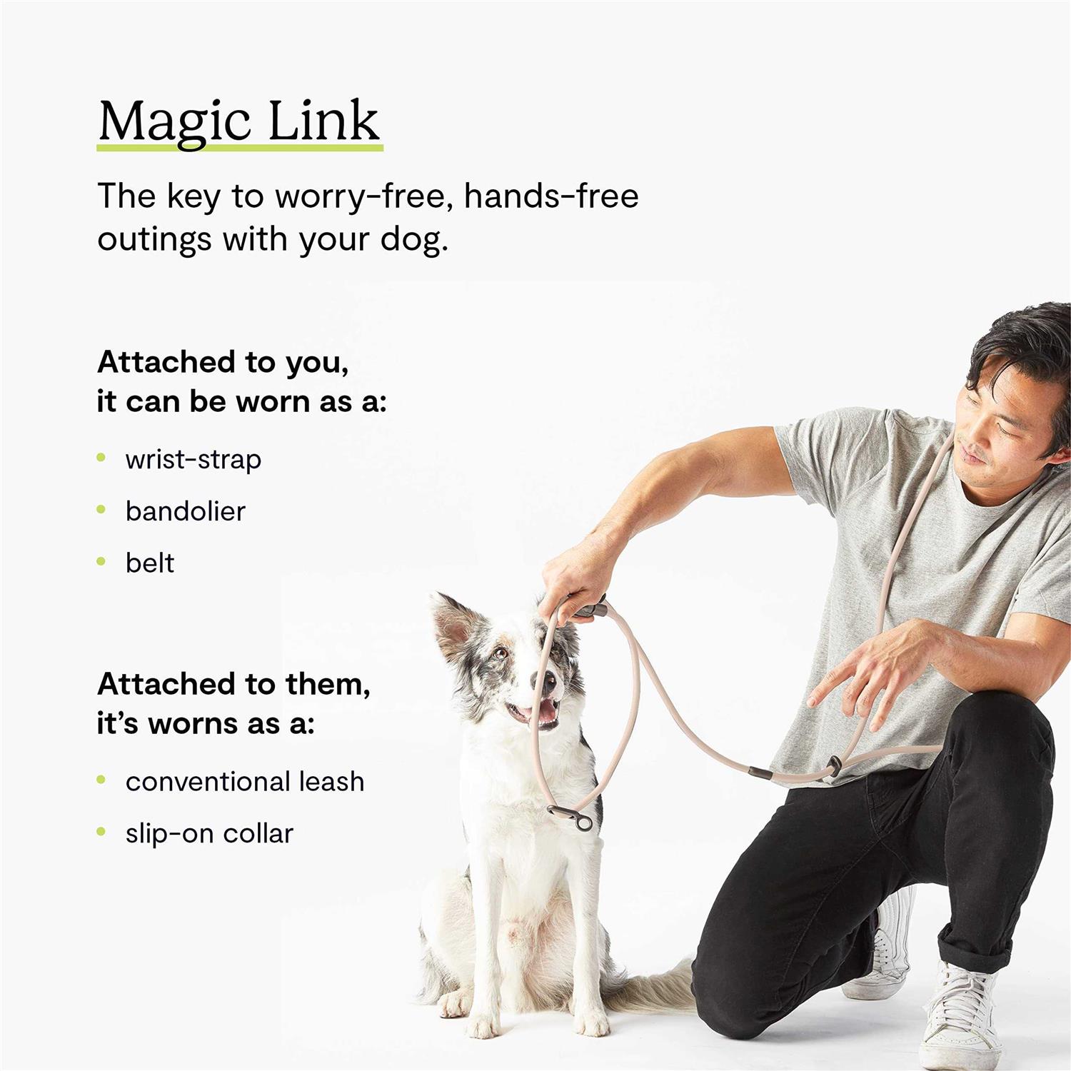 Alternative view of Fable Pets Magic Link Hands-Free Dog Leash