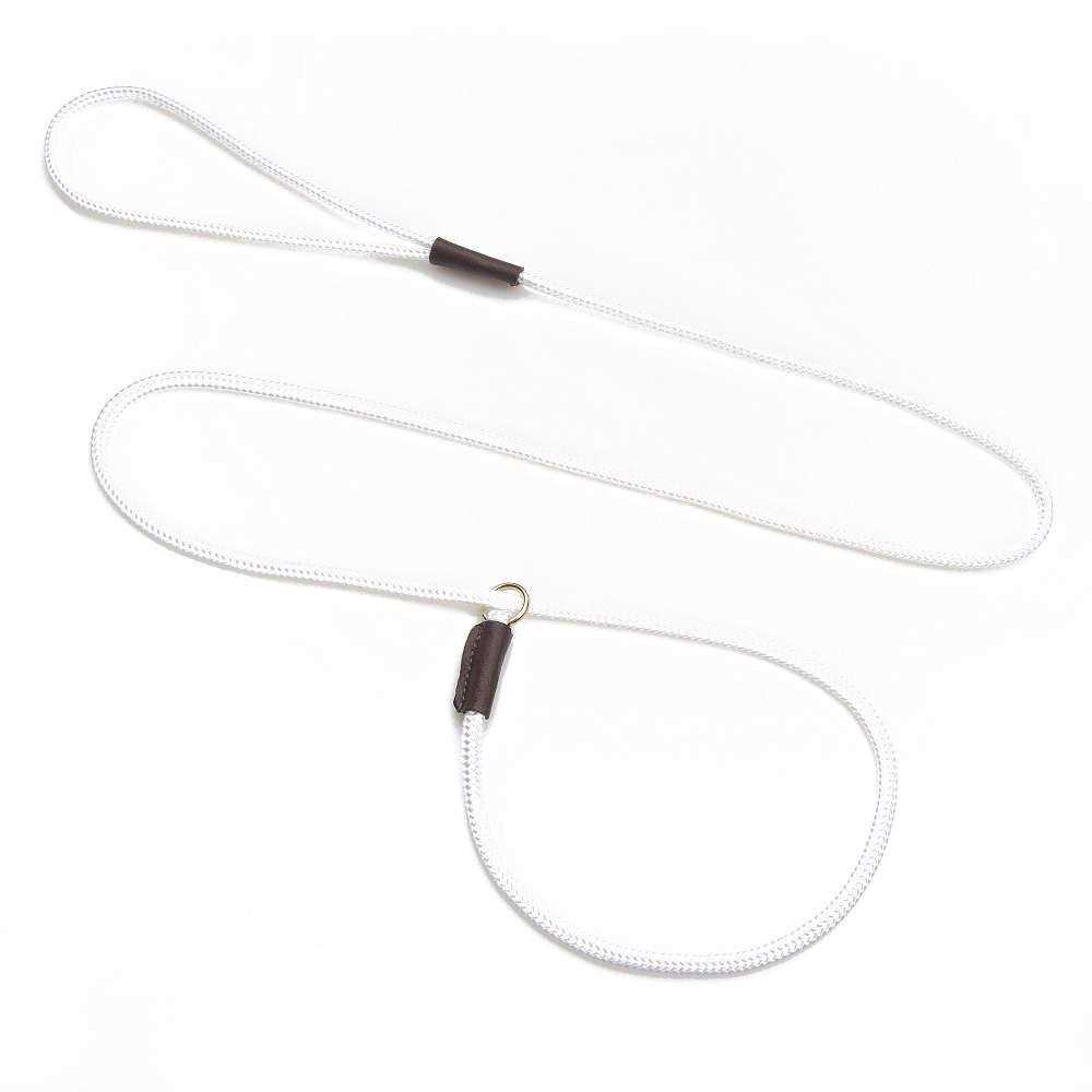 Alternative view of Mendota Show Slip Lead