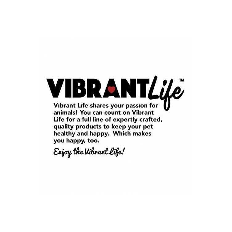 Alternative view of Vibrant Life Reflective Vinyl-Covered Tie-Out for Dogs