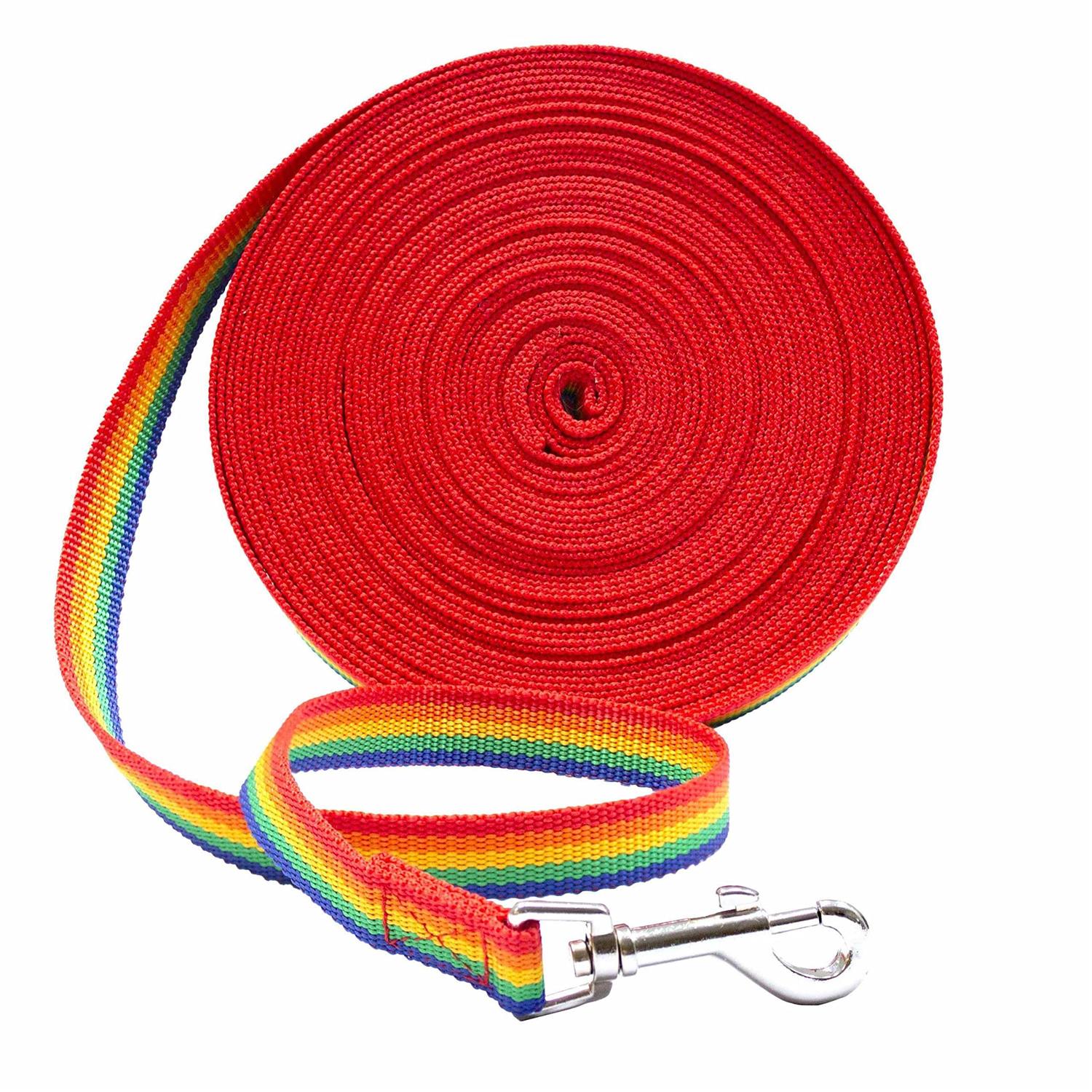 Downtown Pet Supply Long Lead Leash for Dog Training