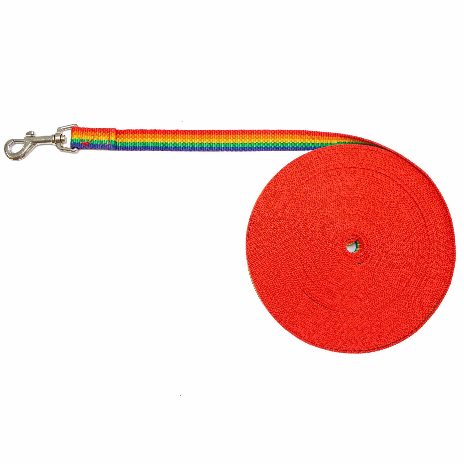 Alternative view of Downtown Pet Supply Long Lead Leash for Dog Training