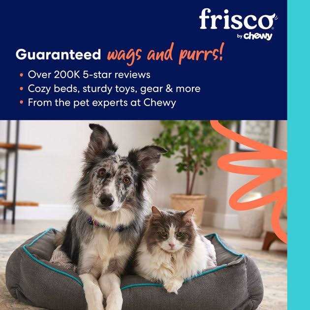 Alternative view of Frisco Traffic Leash with Dual Padded Handles & Poop Bag Dispenser