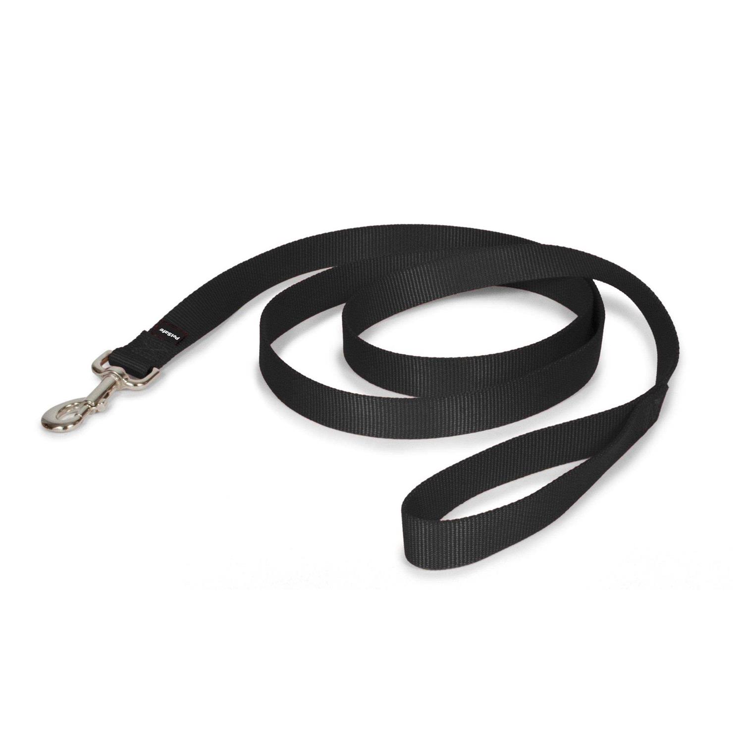 PetSafe Nylon Dog Leash