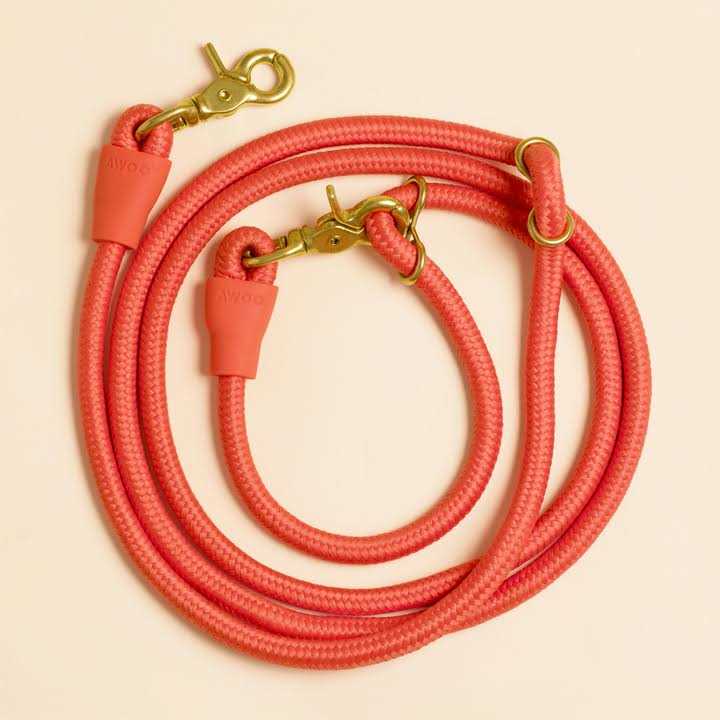 Alternative view of Awoo Infinity Leash