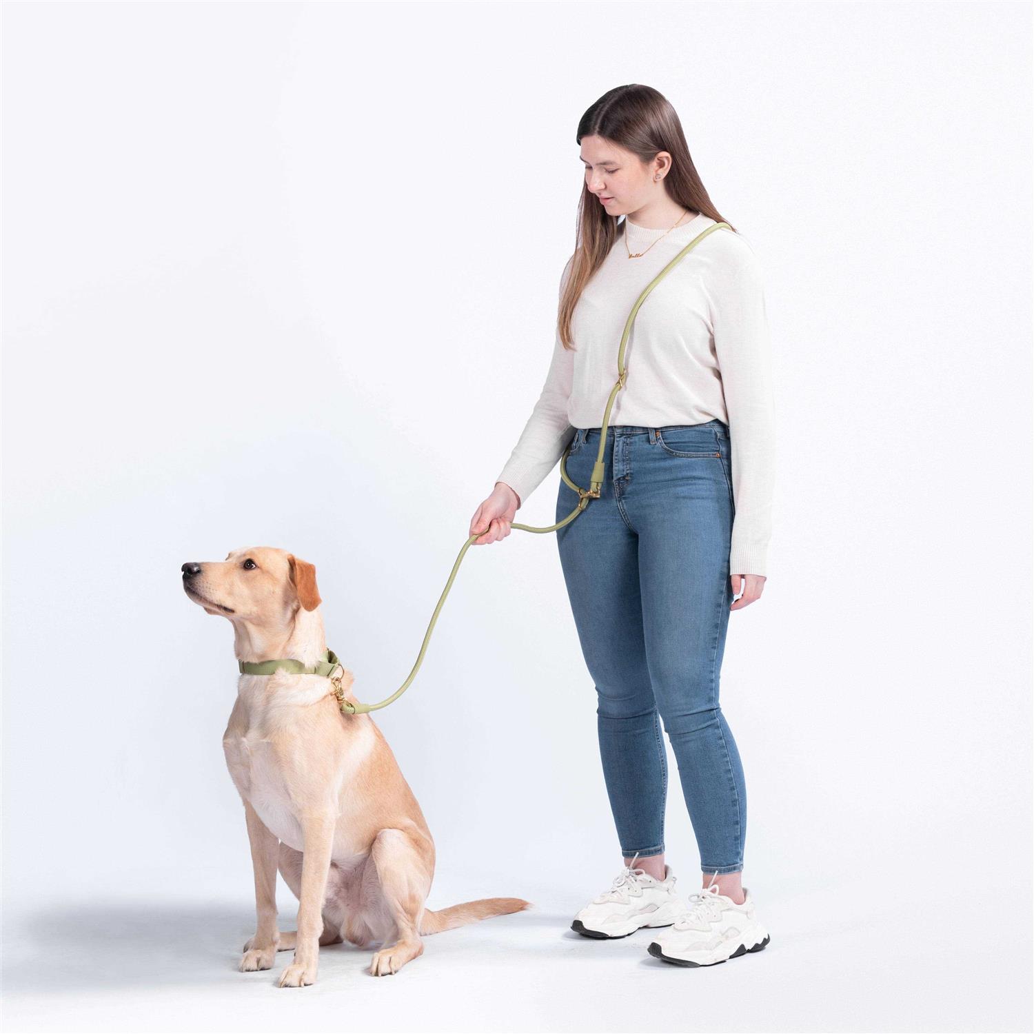 Alternative view of Awoo Infinity Leash