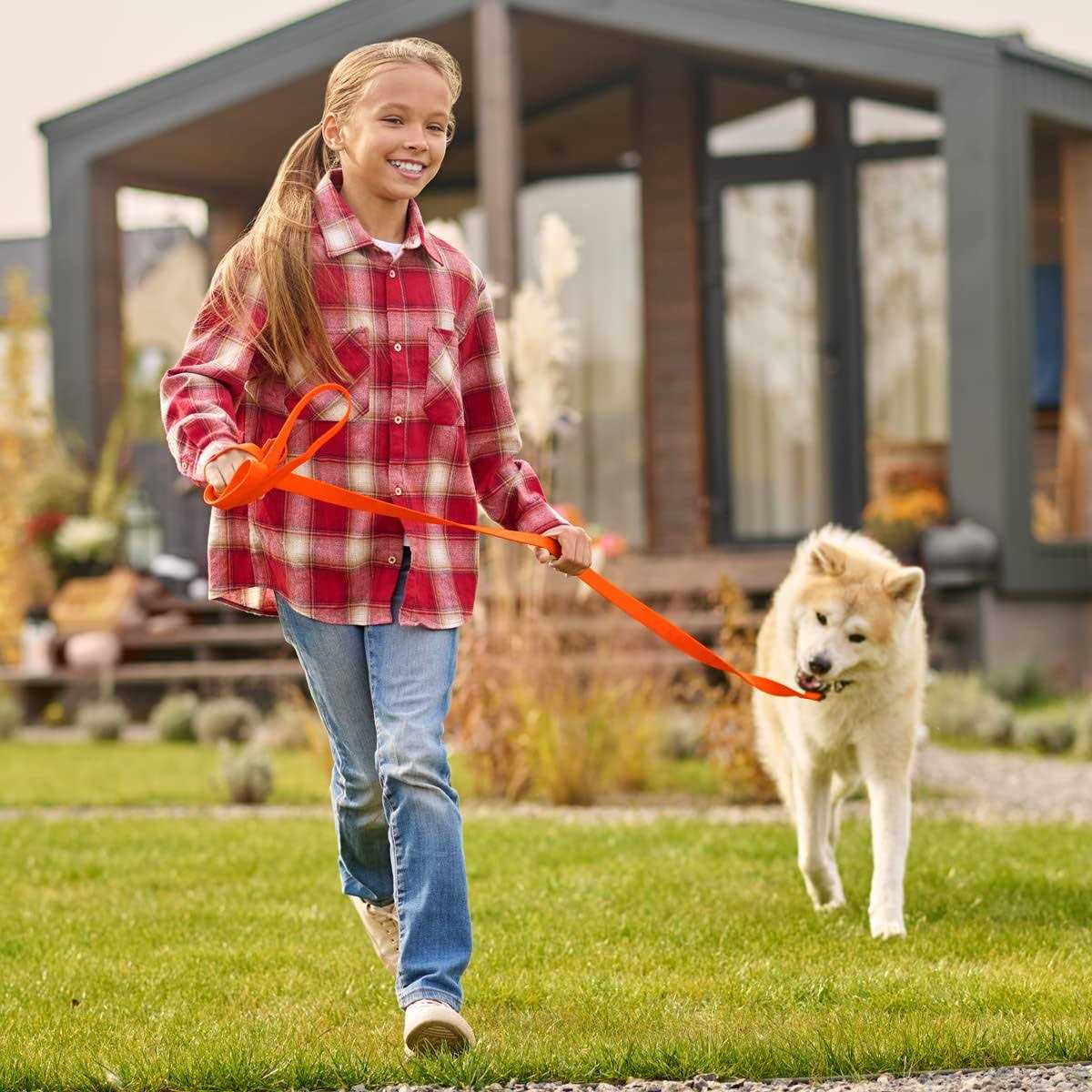 Alternative view of Viper Biothane K9 Working Dog Leash Waterproof Lead for Tracking Train