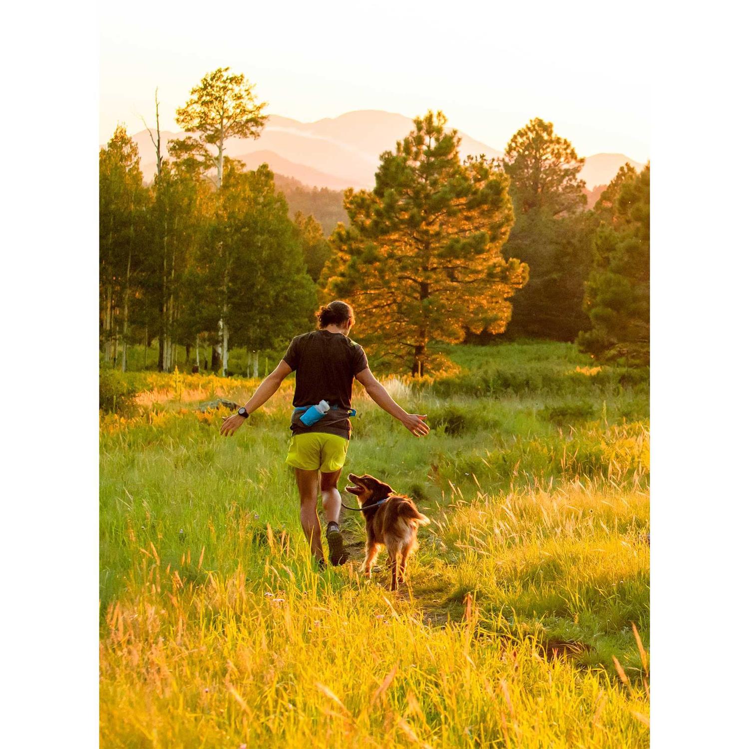 Alternative view of Ruffwear Trail Runner System