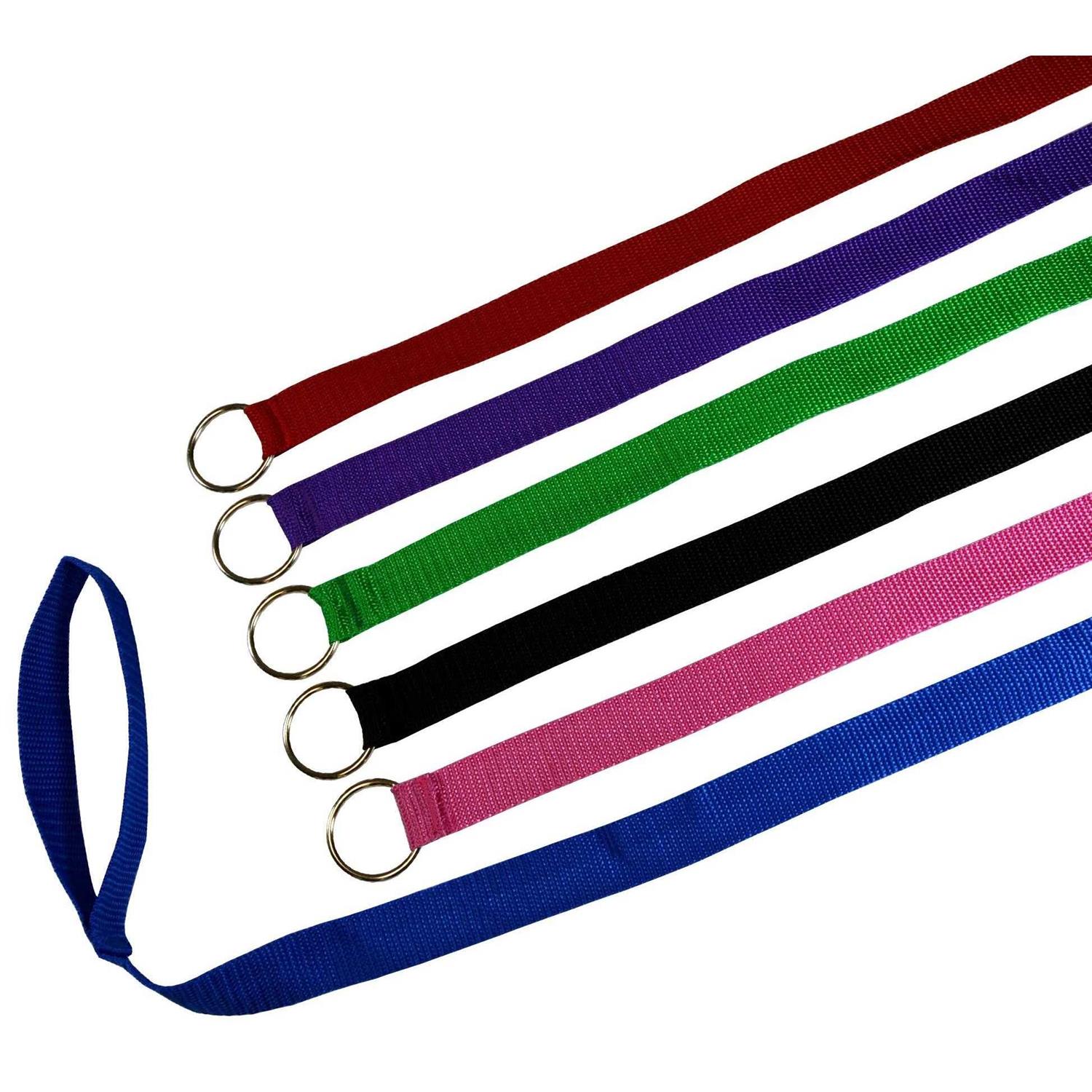 Alternative view of Downtown Pet Supply Dog Slip Lead Dog Leash