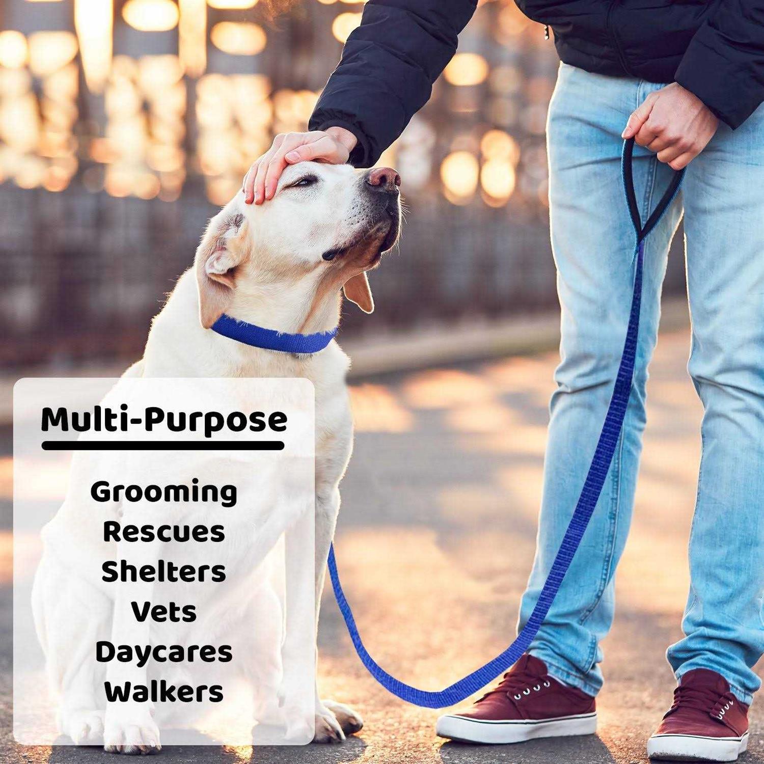 Alternative view of Downtown Pet Supply Dog Slip Lead Dog Leash