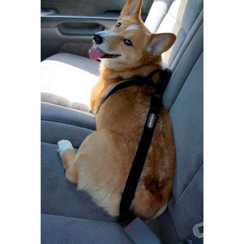 Alternative view of Bella & Max Pt-0114e Pet Seat Belt