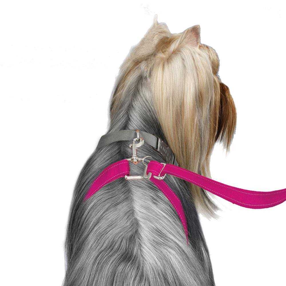 Alternative view of ThunderLeash Dog Leash
