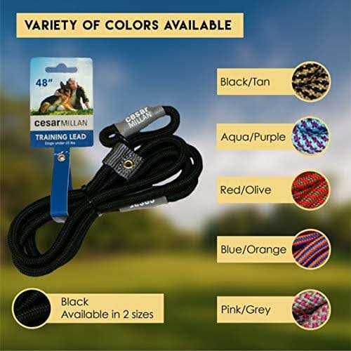 Alternative view of Cesar Millan Slip Lead Leash 2-in-1 Slip Collar Dog Training Lead & Collar