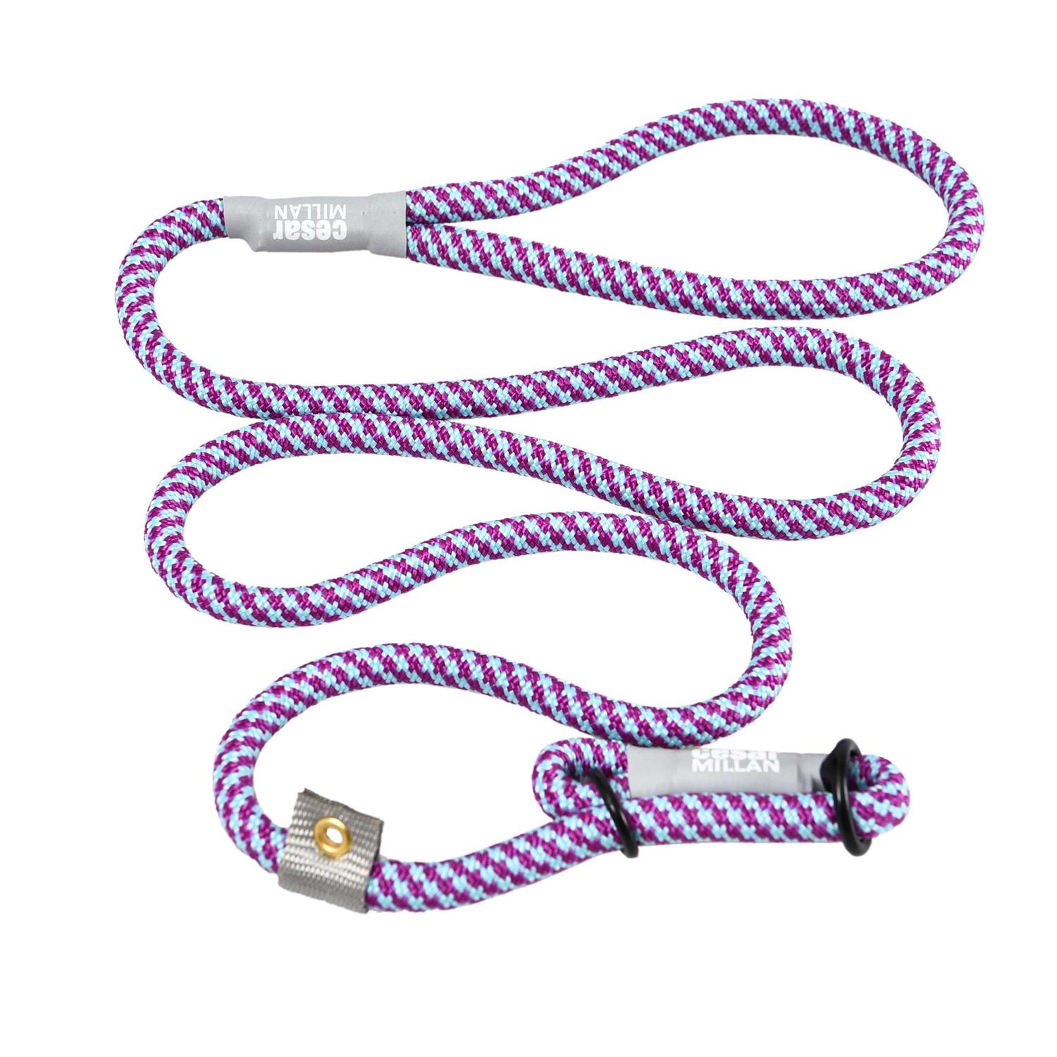 Alternative view of Cesar Millan Slip Lead Leash 2-in-1 Slip Collar Dog Training Lead & Collar
