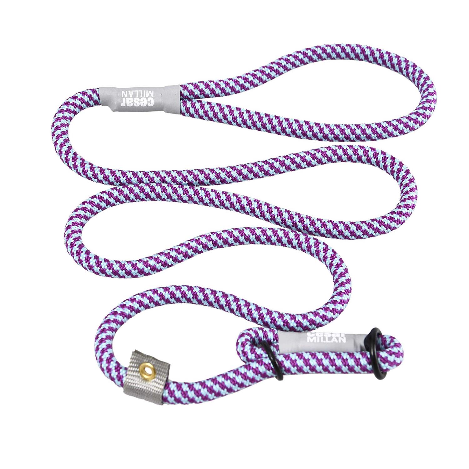 Cesar Millan Slip Lead Leash 2-in-1 Slip Collar Dog Training Lead & Collar
