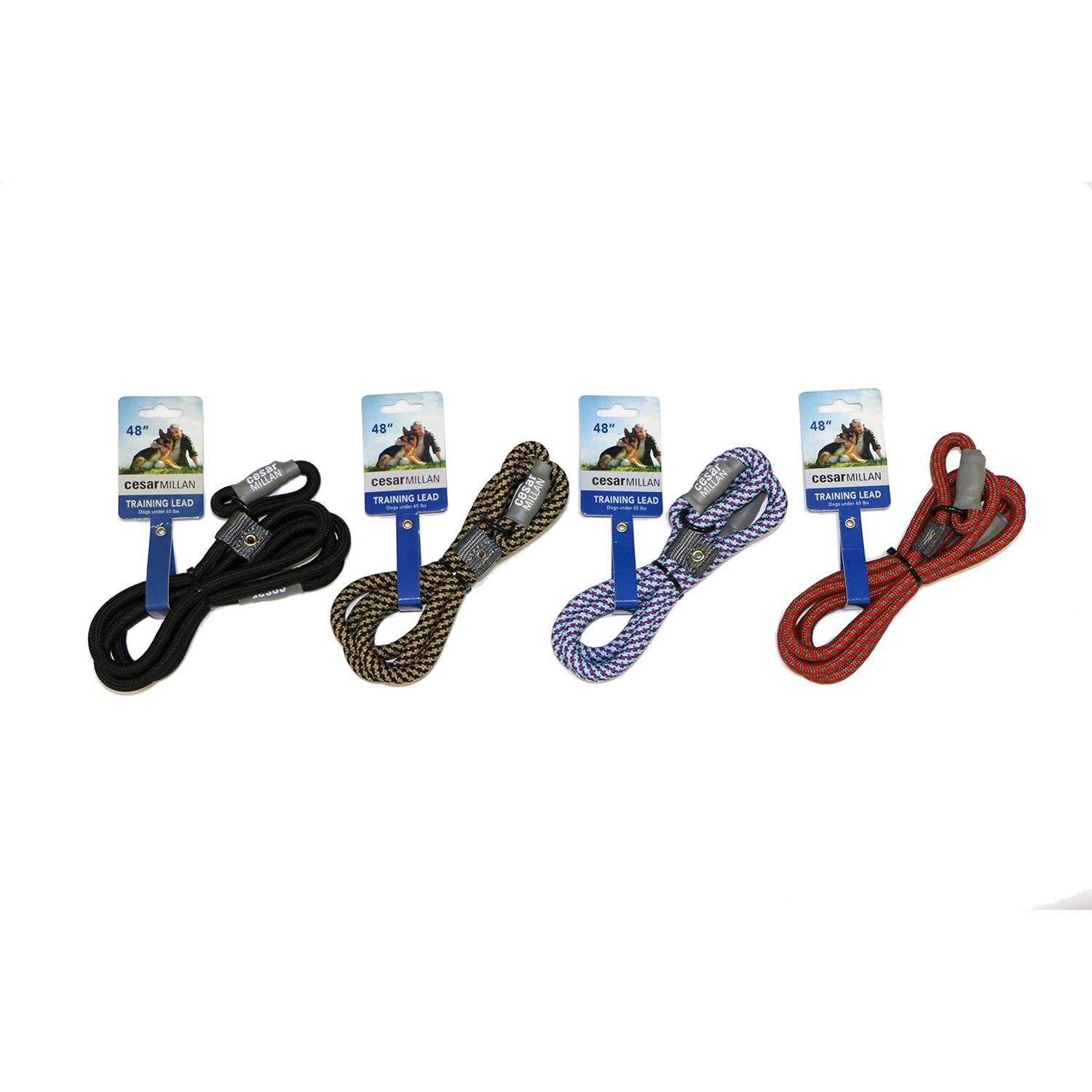 Alternative view of Cesar Millan Slip Lead Leash 2-in-1 Slip Collar Dog Training Lead & Collar