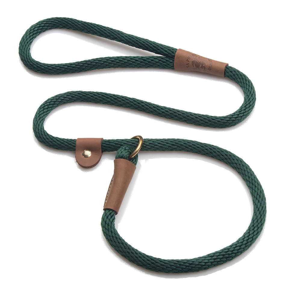 Mendota Slip Lead