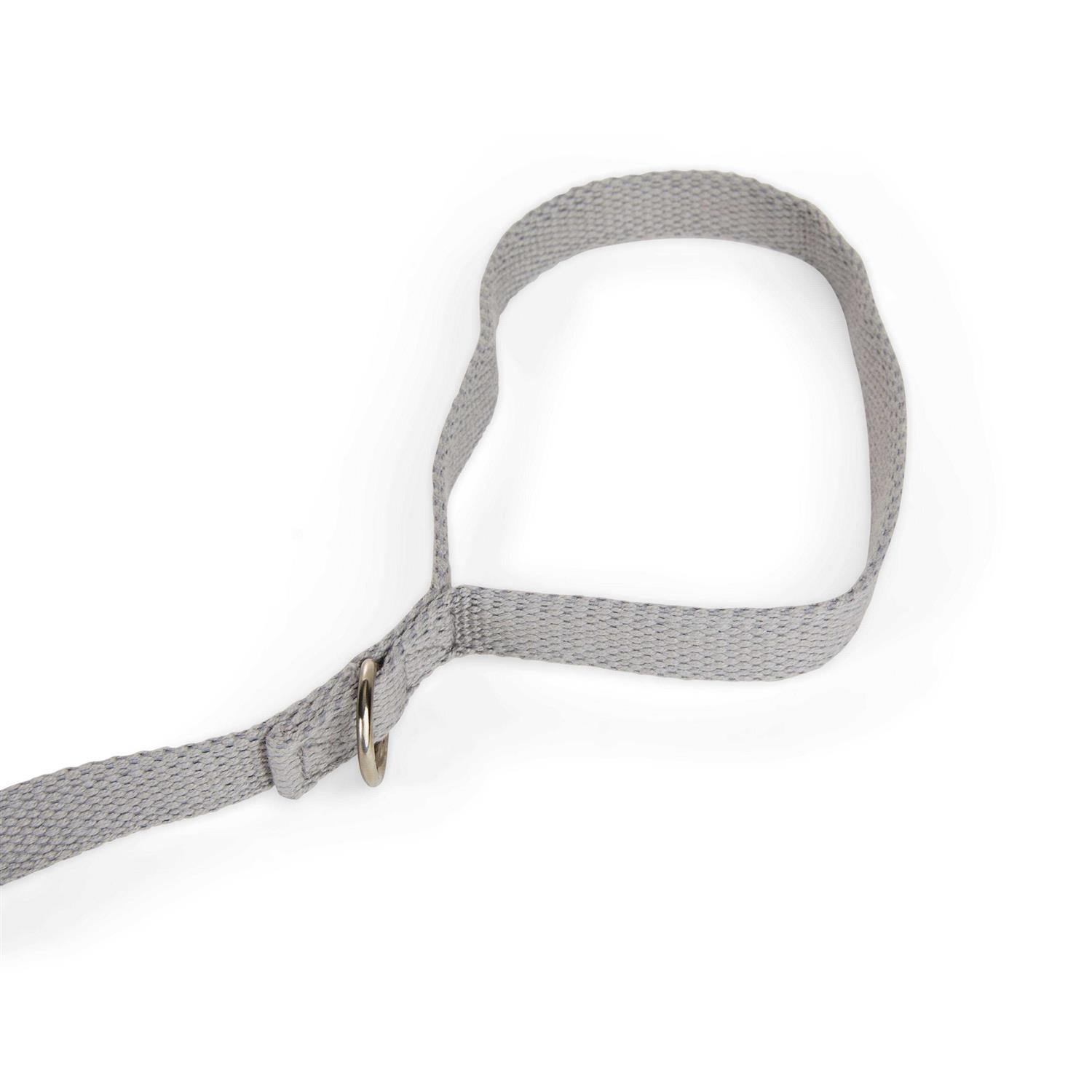Alternative view of EveryYay Settin' the Pace Adjustable Recall Training 5/8 Dog Lead