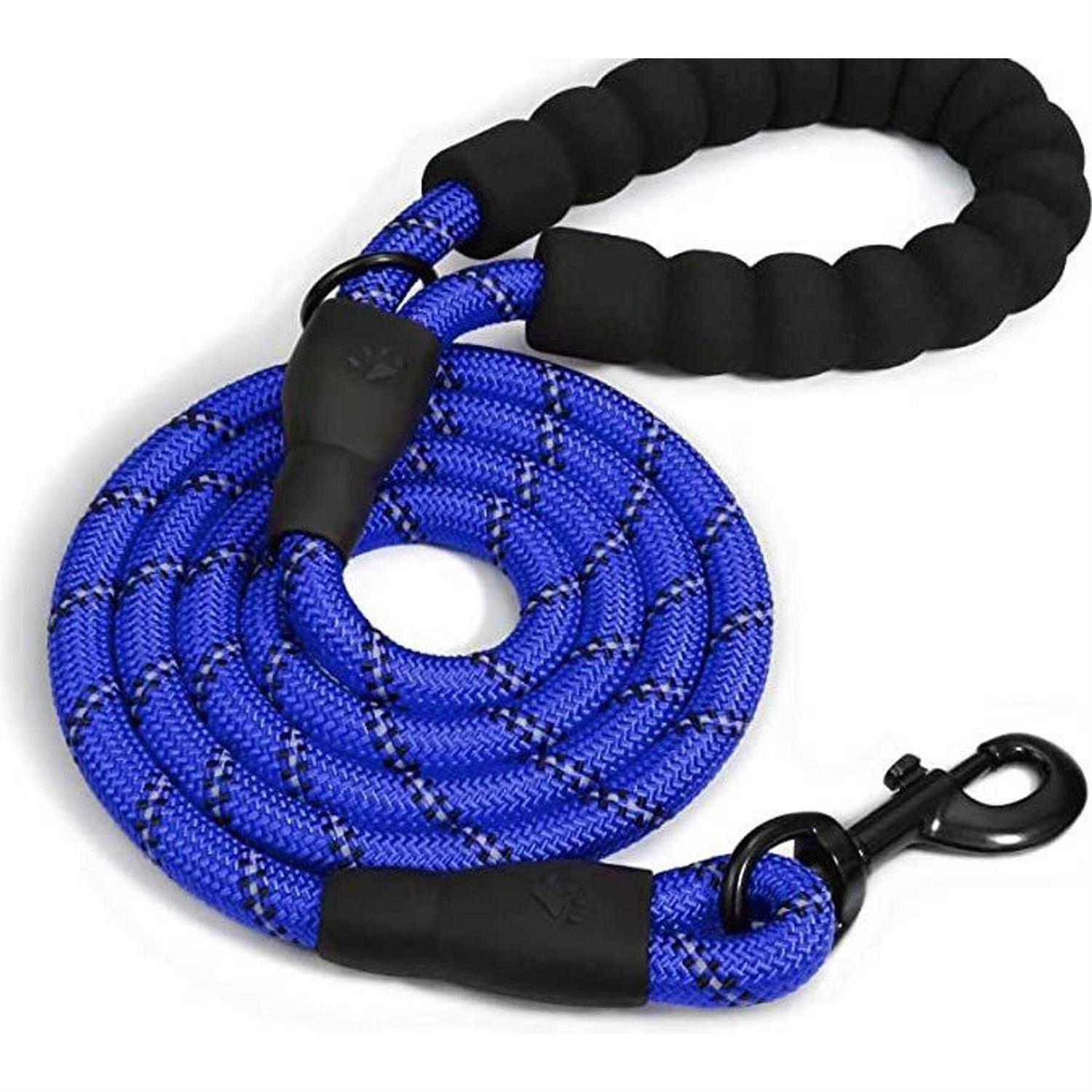 Doggy Tales Braided Dog Leash