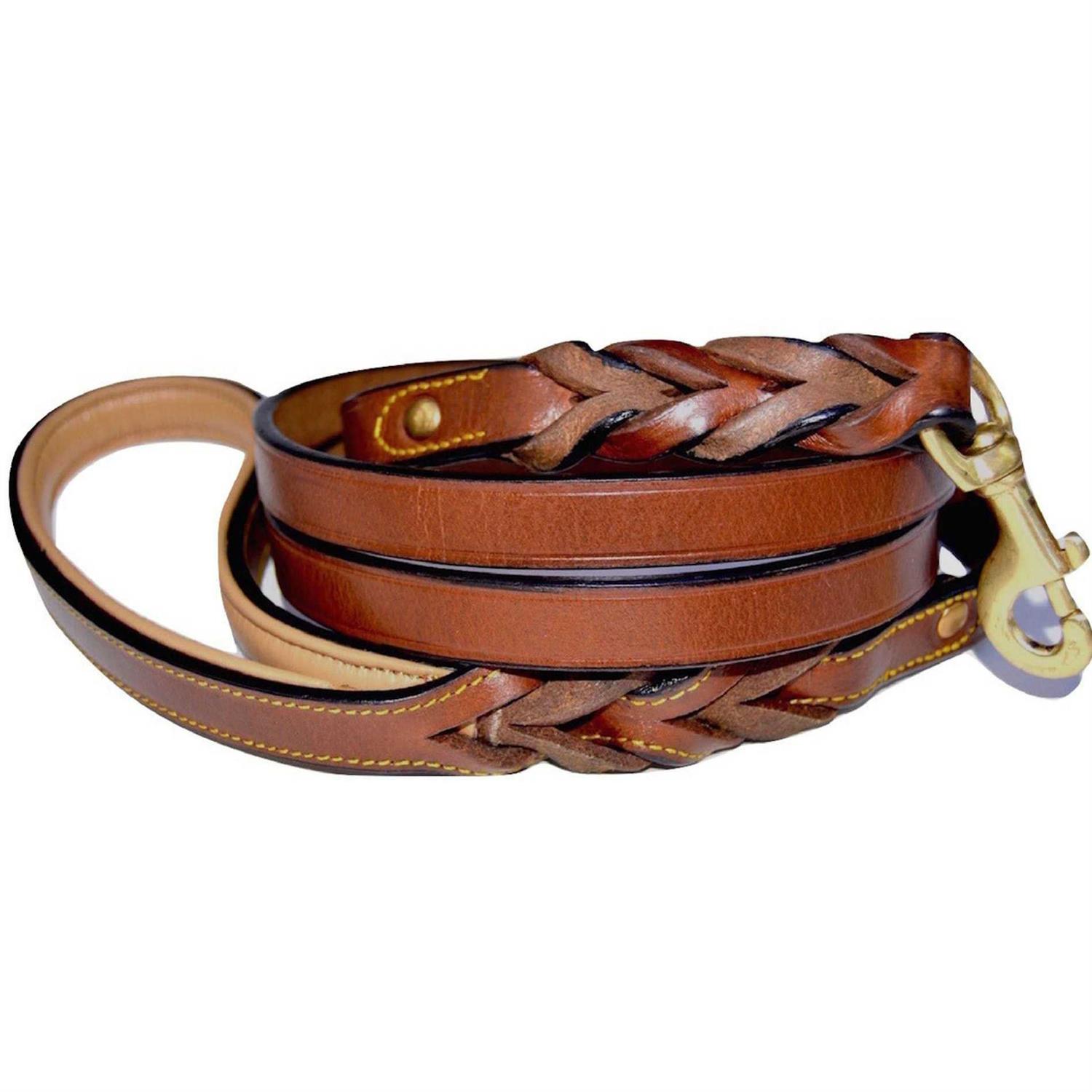 Soft Touch Collars Leather Braided Dog Leash