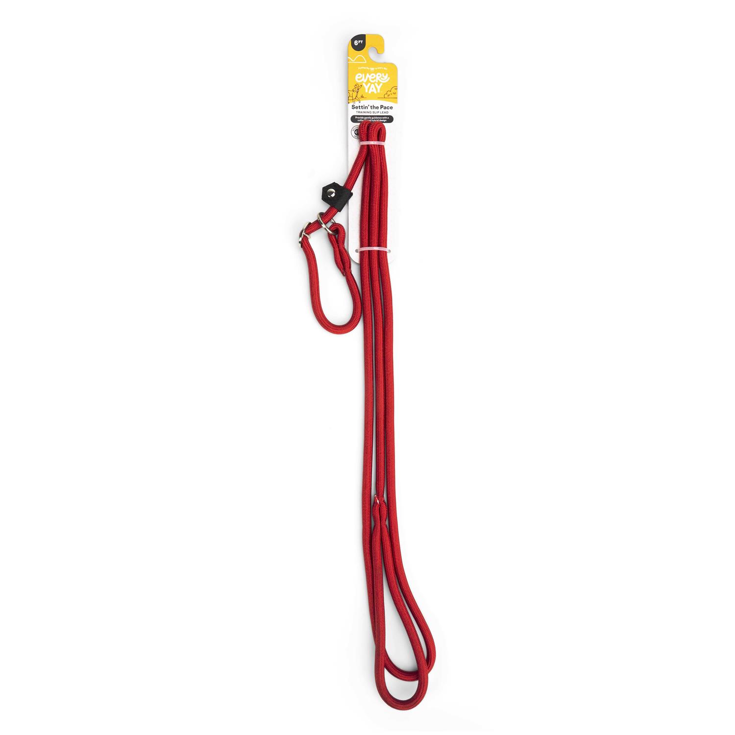 EveryYay Settin' the Pace Training Rope Slip Lead for Dogs