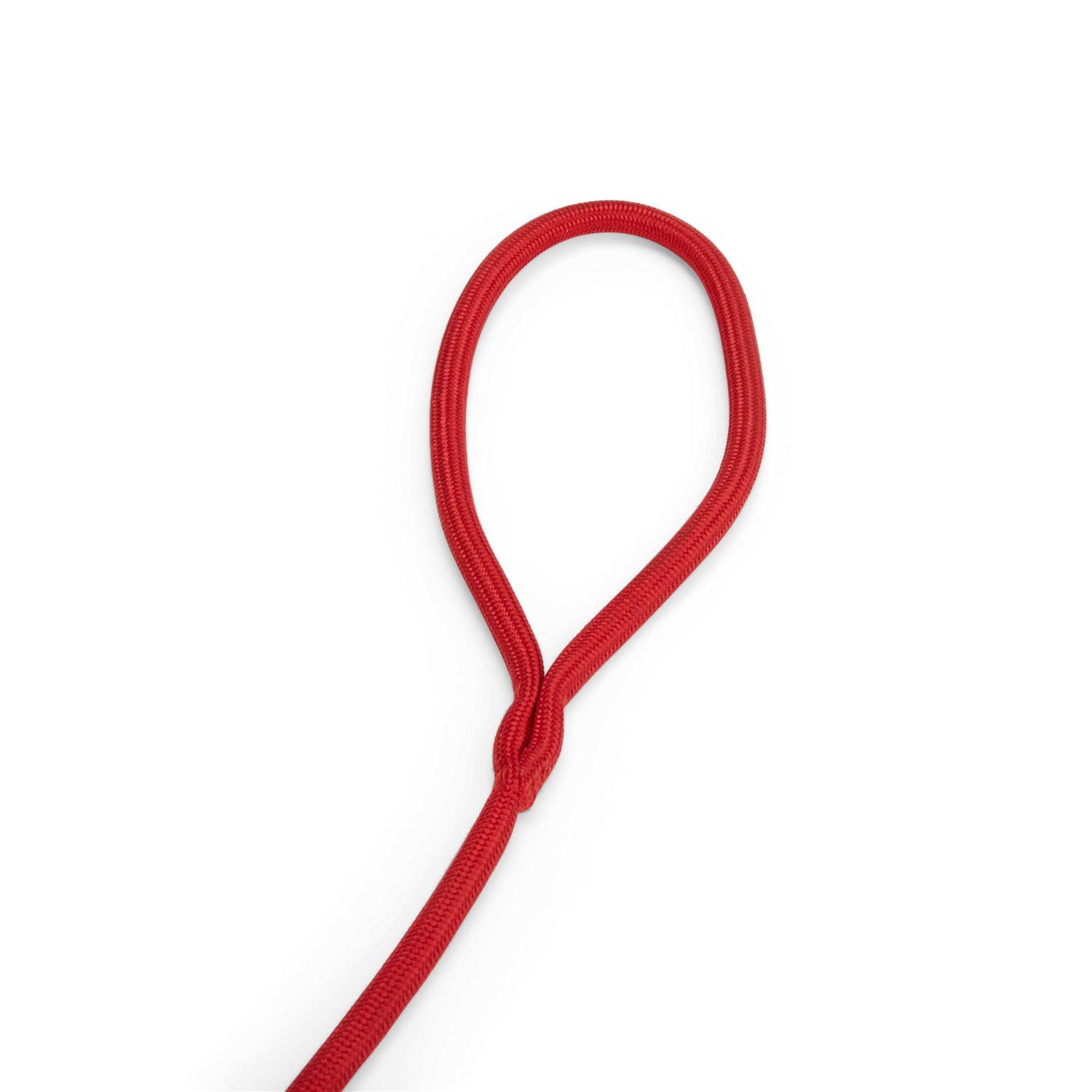 Alternative view of EveryYay Settin' the Pace Training Rope Slip Lead for Dogs