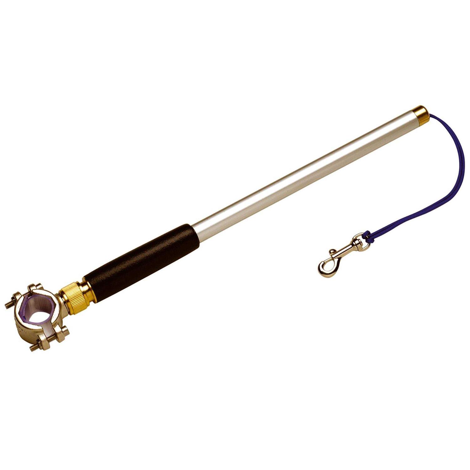 Walky Dog Plus Bicycle Exercise Dog Leash