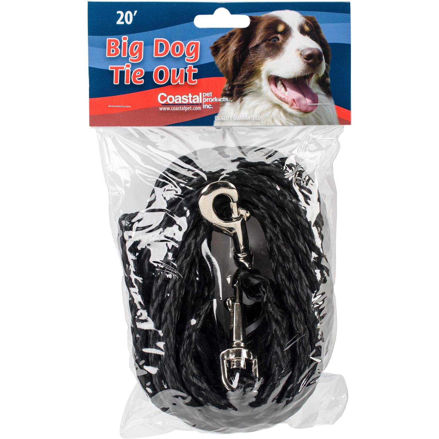 Alternative view of Coastal Poly Dog Tie Out