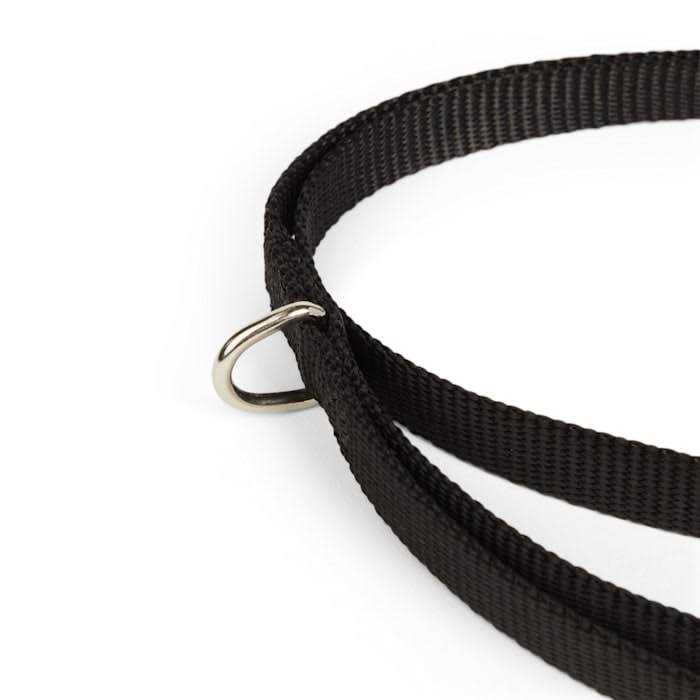 Alternative view of YOULY Dog Lead