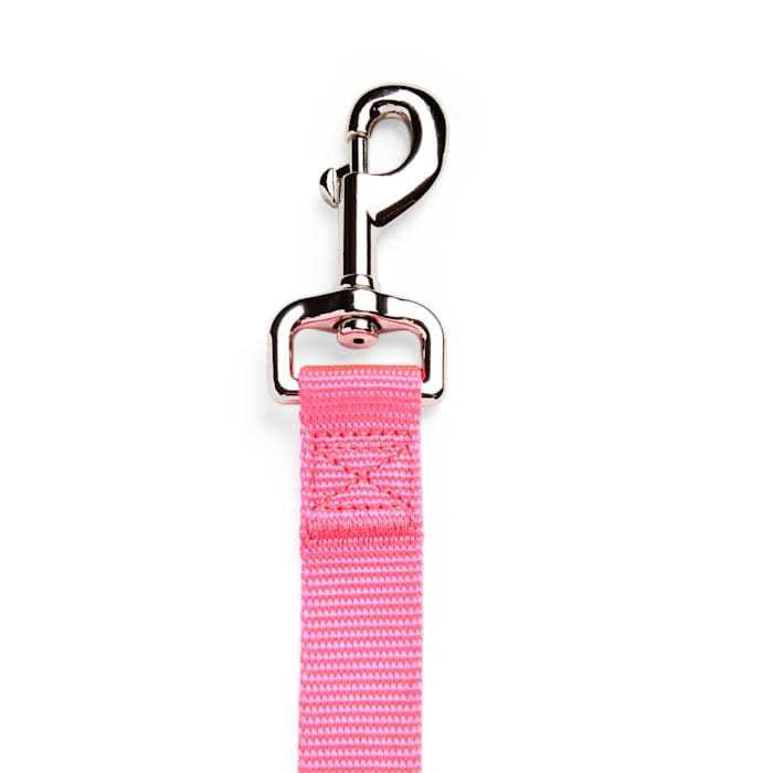 Alternative view of YOULY Dog Lead