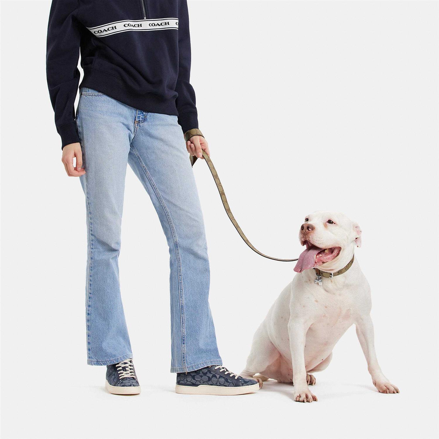 Alternative view of Coach Outlet Boxed Pet Leash In Signature Canvas