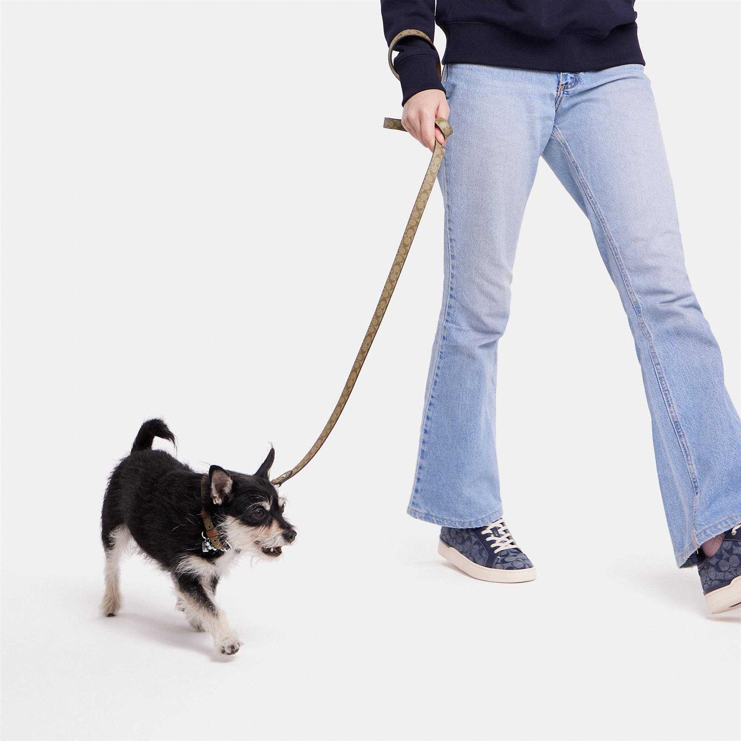 Alternative view of Coach Outlet Boxed Pet Leash In Signature Canvas