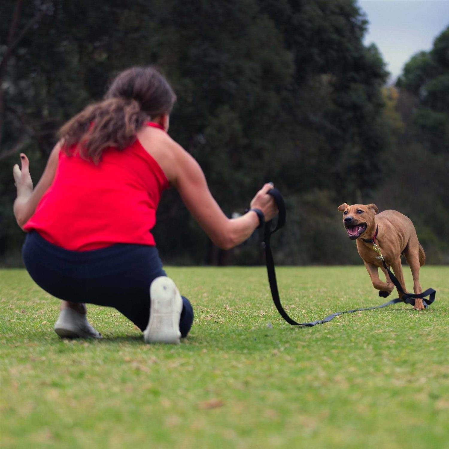 Canny Recall Leash long width