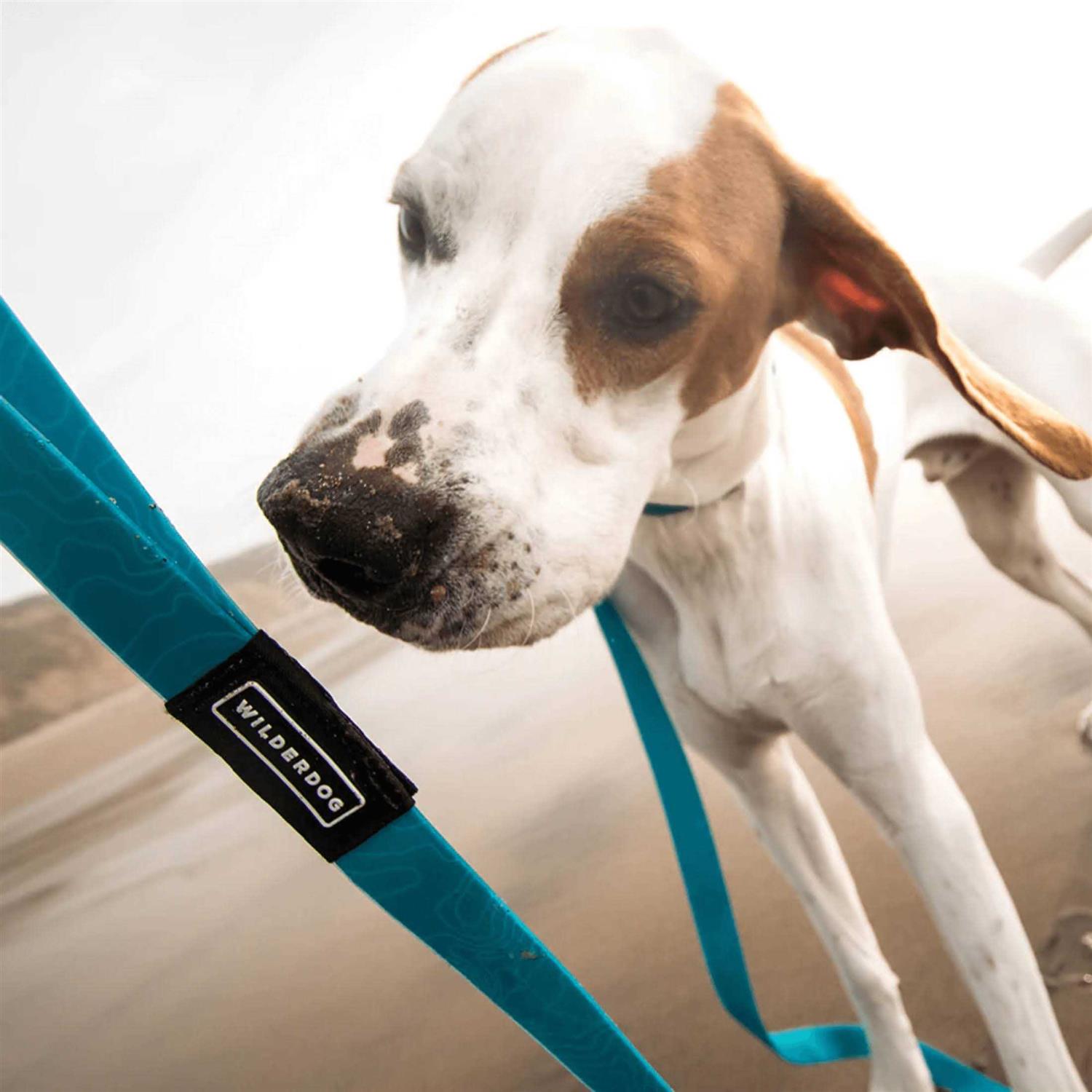 Alternative view of Wilderdog Waterproof Leash