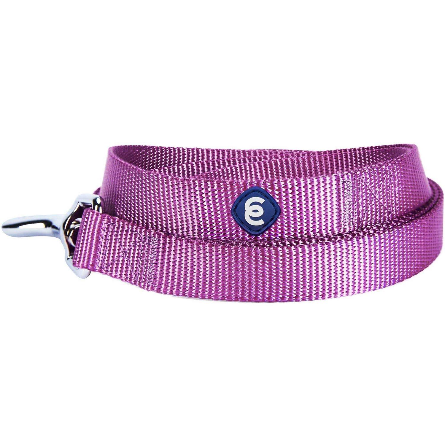 Alternative view of Blueberry Pet Classic Dog Leash