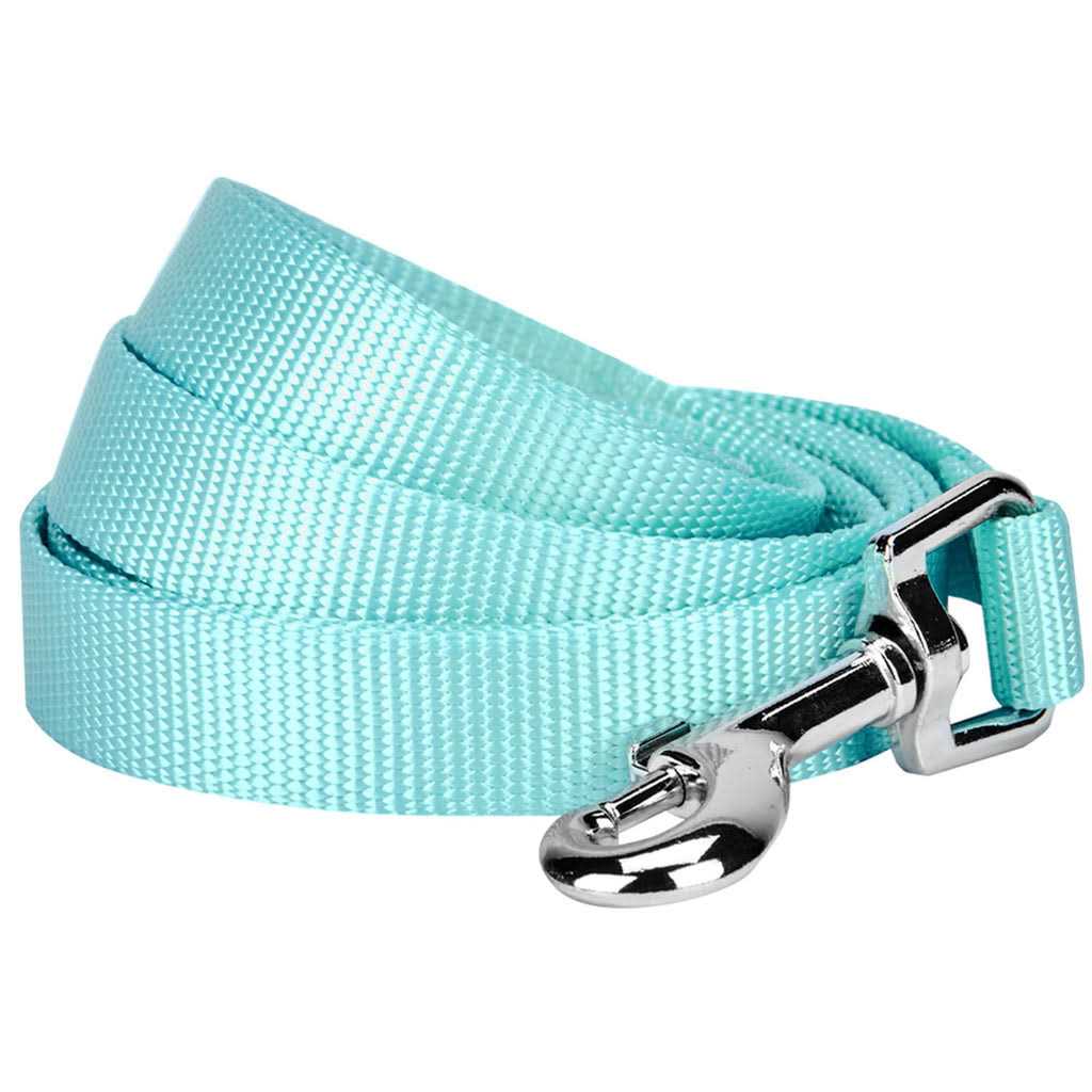 Alternative view of Blueberry Pet Classic Dog Leash