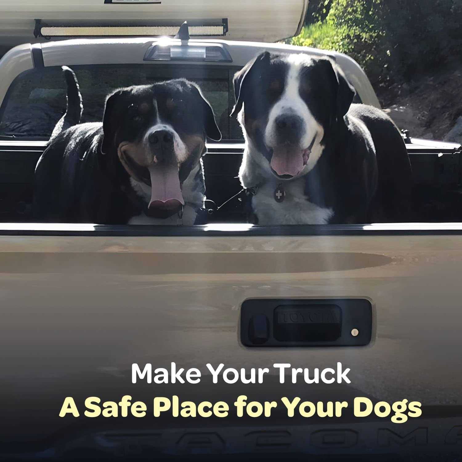 Alternative view of Labra Dog Truck Bed Leash Tether