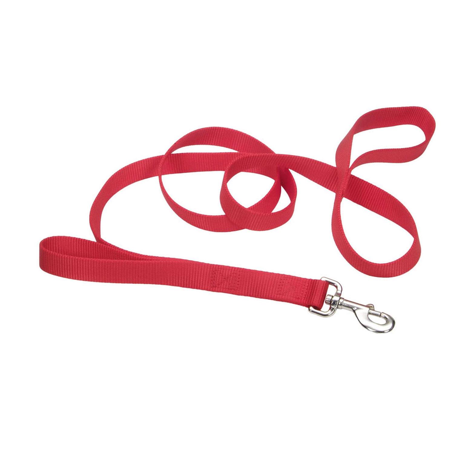 Coastal Double-Ply Nylon Traffic Leash