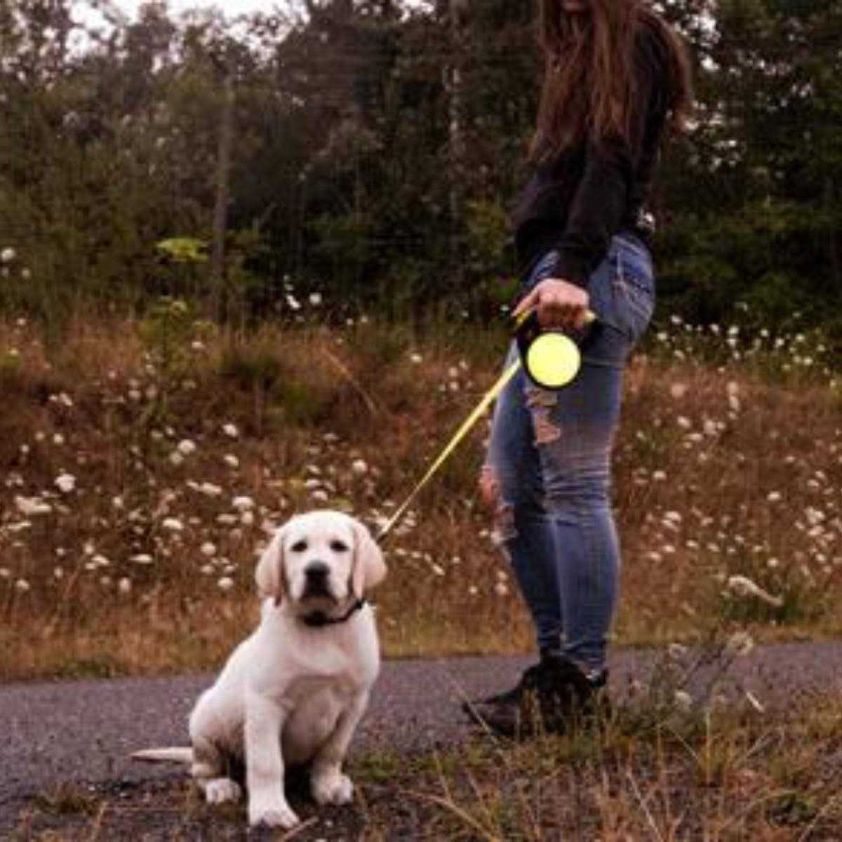 Alternative view of Wigzi Gel Retractable Leash