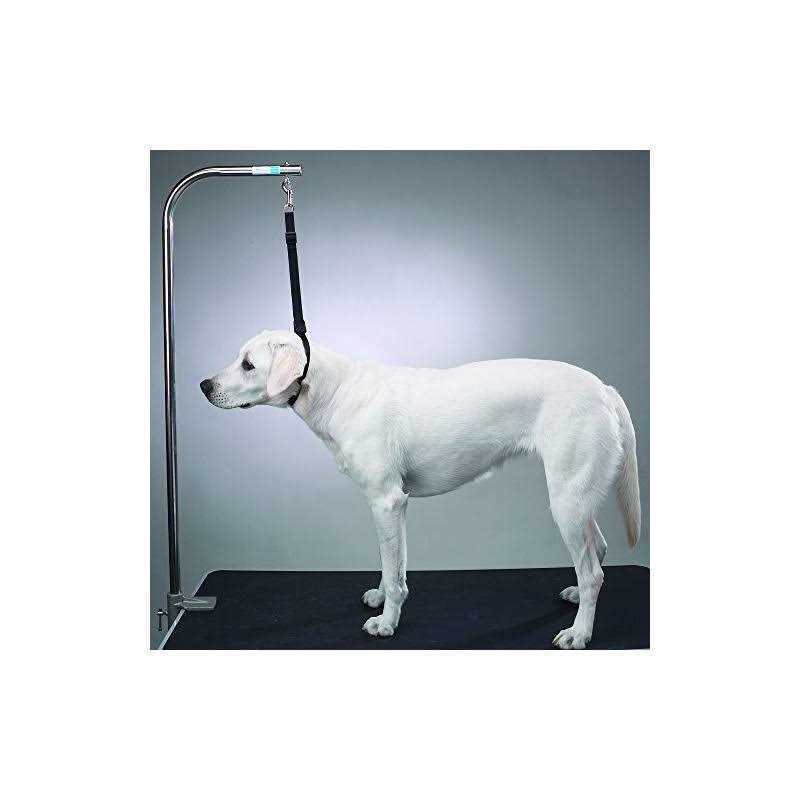 Alternative view of Top Performance Nylon Table Harness 27