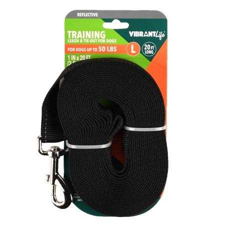 Alternative view of Vibrant Life 20' Polyester Slip Lead Dog Leash