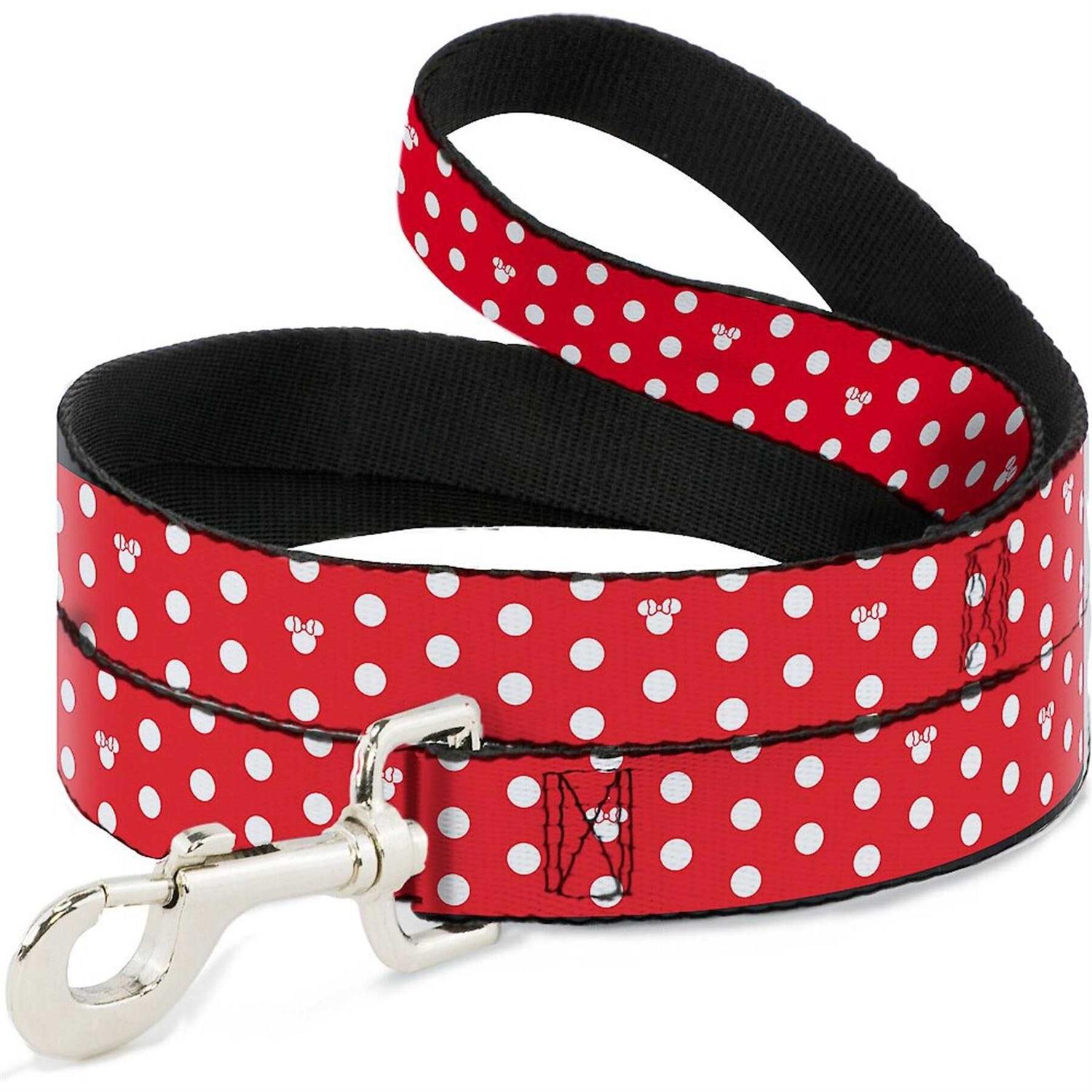 Buckle-Down Dog Leash