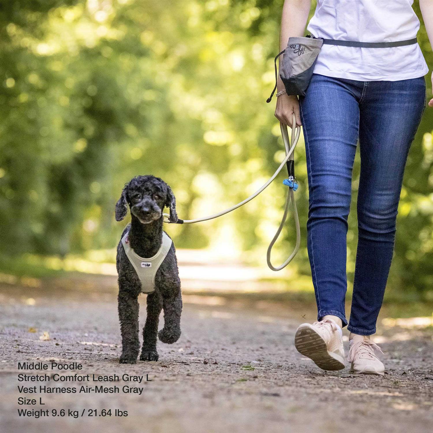 Alternative view of Curli Stretch Comfort Leash