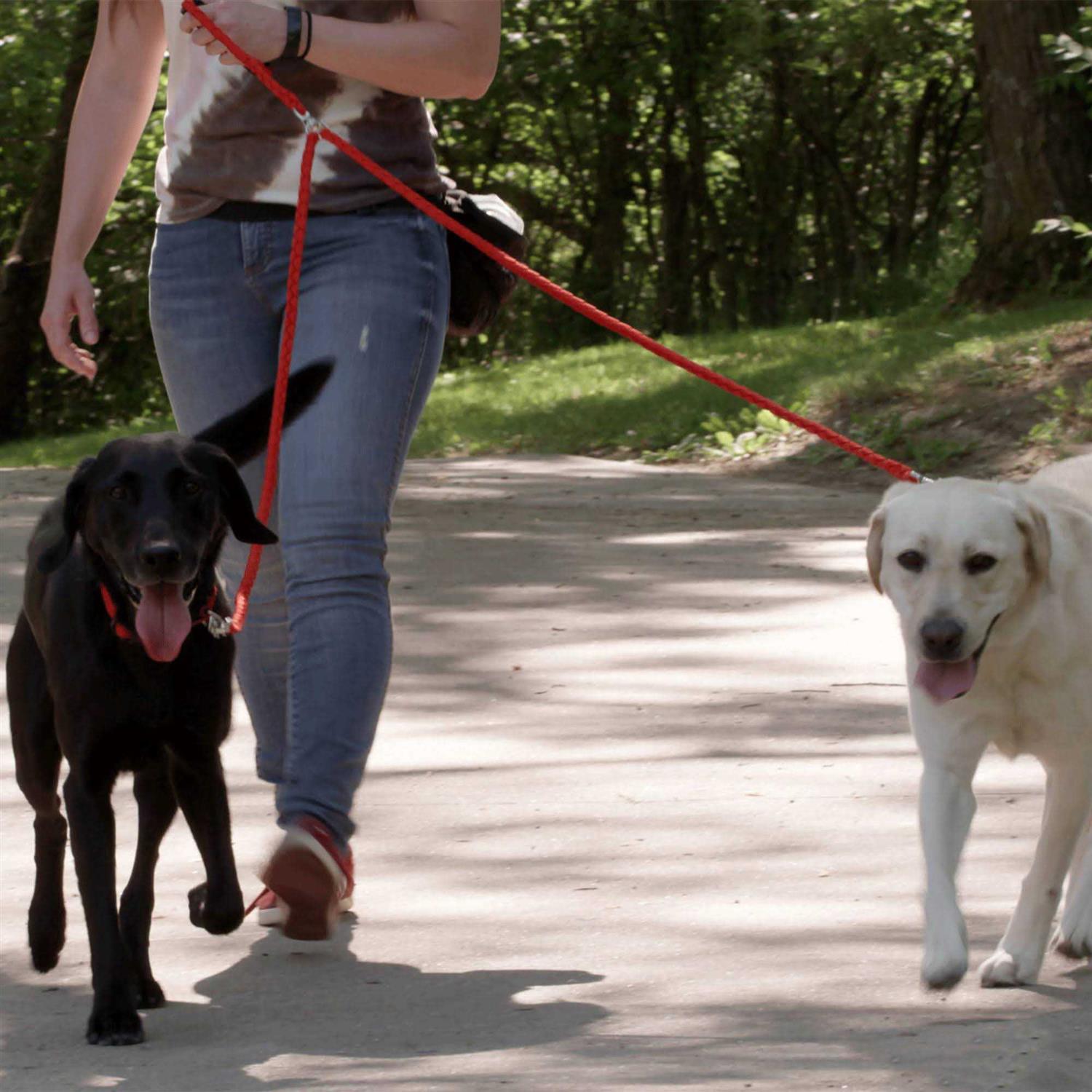Alternative view of Caldwell's Pet supply co. Dual Dog Leash Double Dog Leash