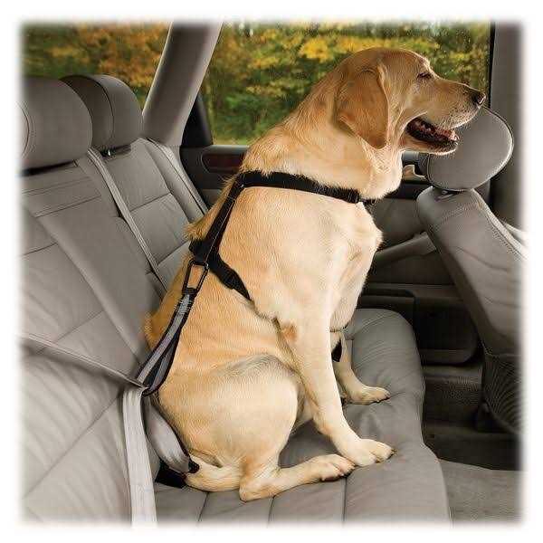 Alternative view of Kurgo Seat Belt Tether with Carabiner