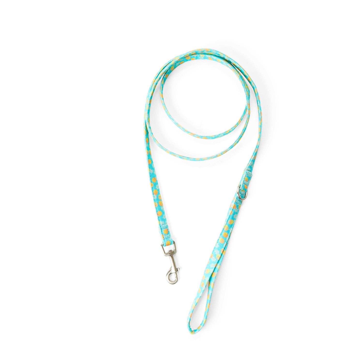 YOULY Small Dog Pineapple Dog Leash